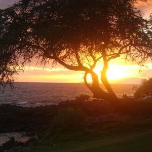 Meet your Posher, Kerrie